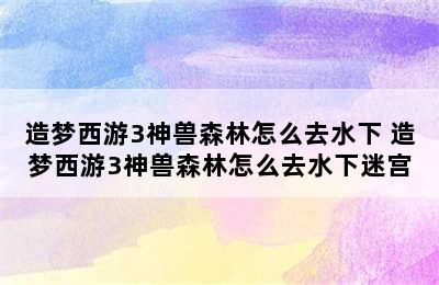 造梦西游3神兽森林怎么去水下 造梦西游3神兽森林怎么去水下迷宫